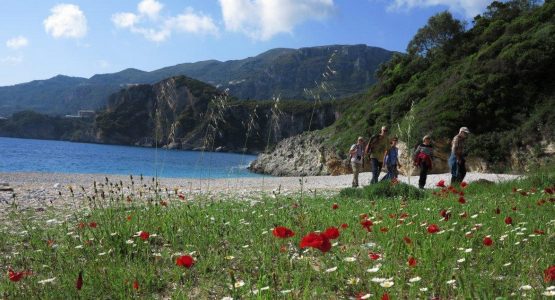 The Beauty of Corfu Tour