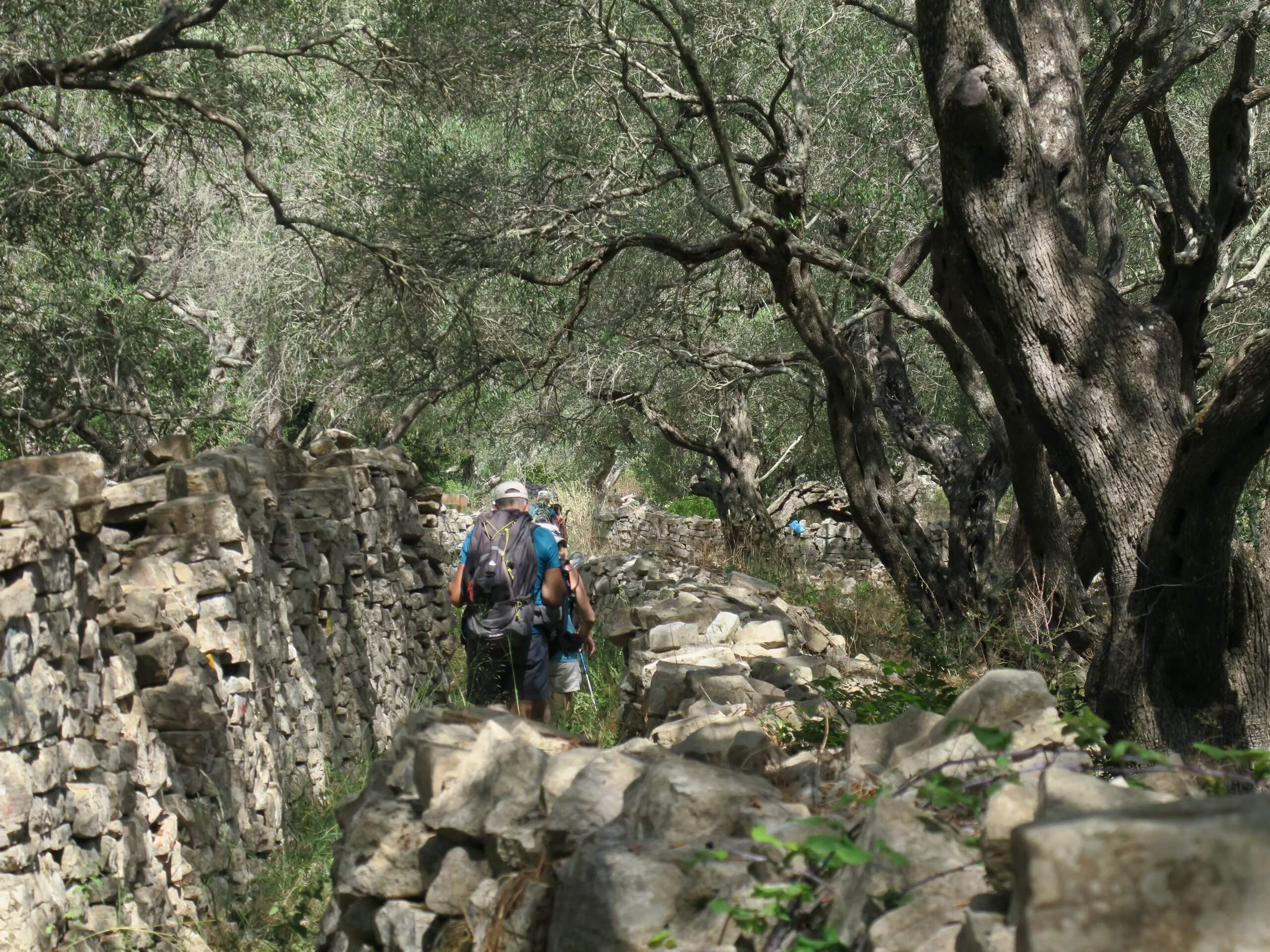 Sur les chemins de Paxos