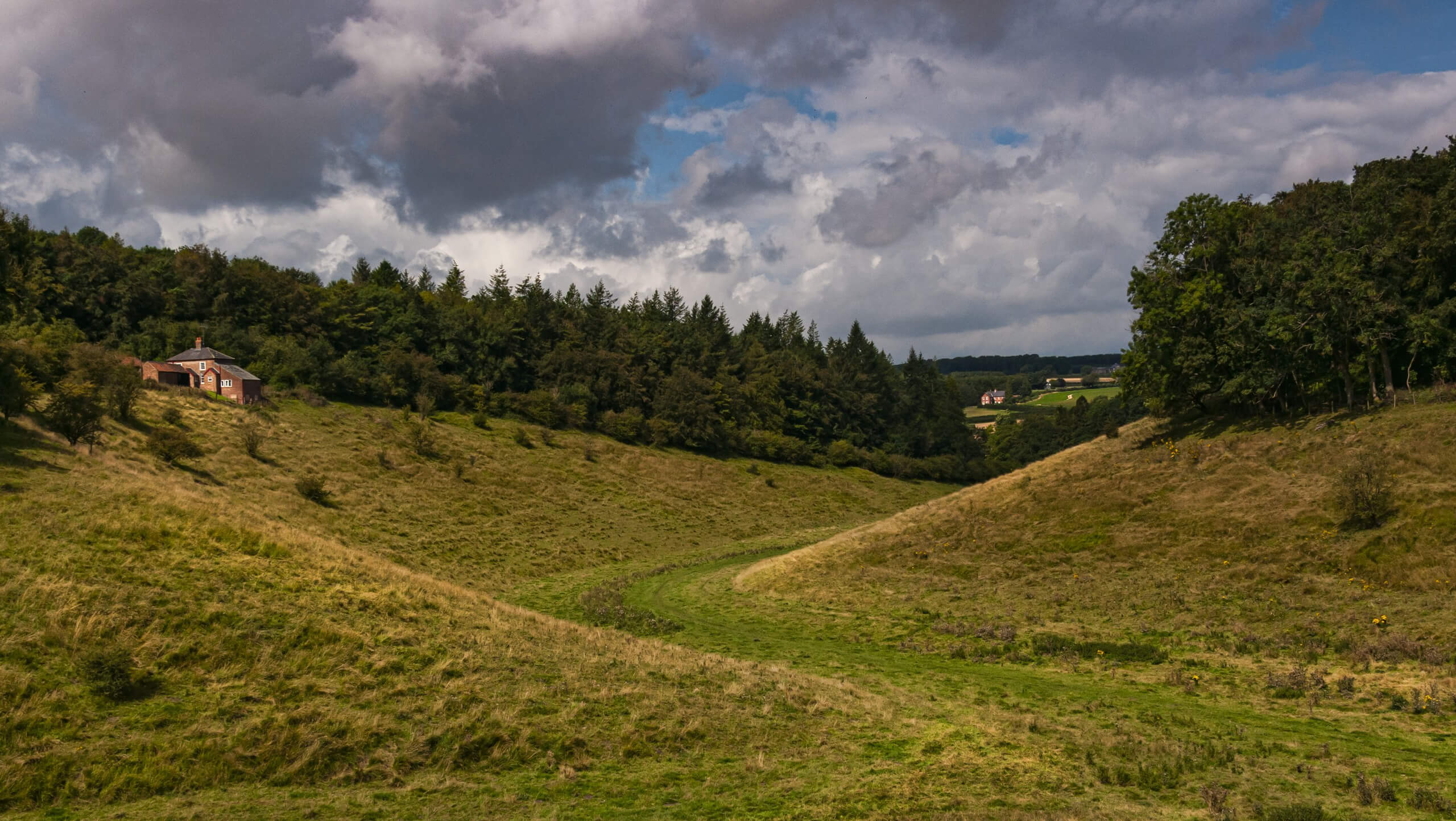 Yorkshire Wolds Cycling Tour