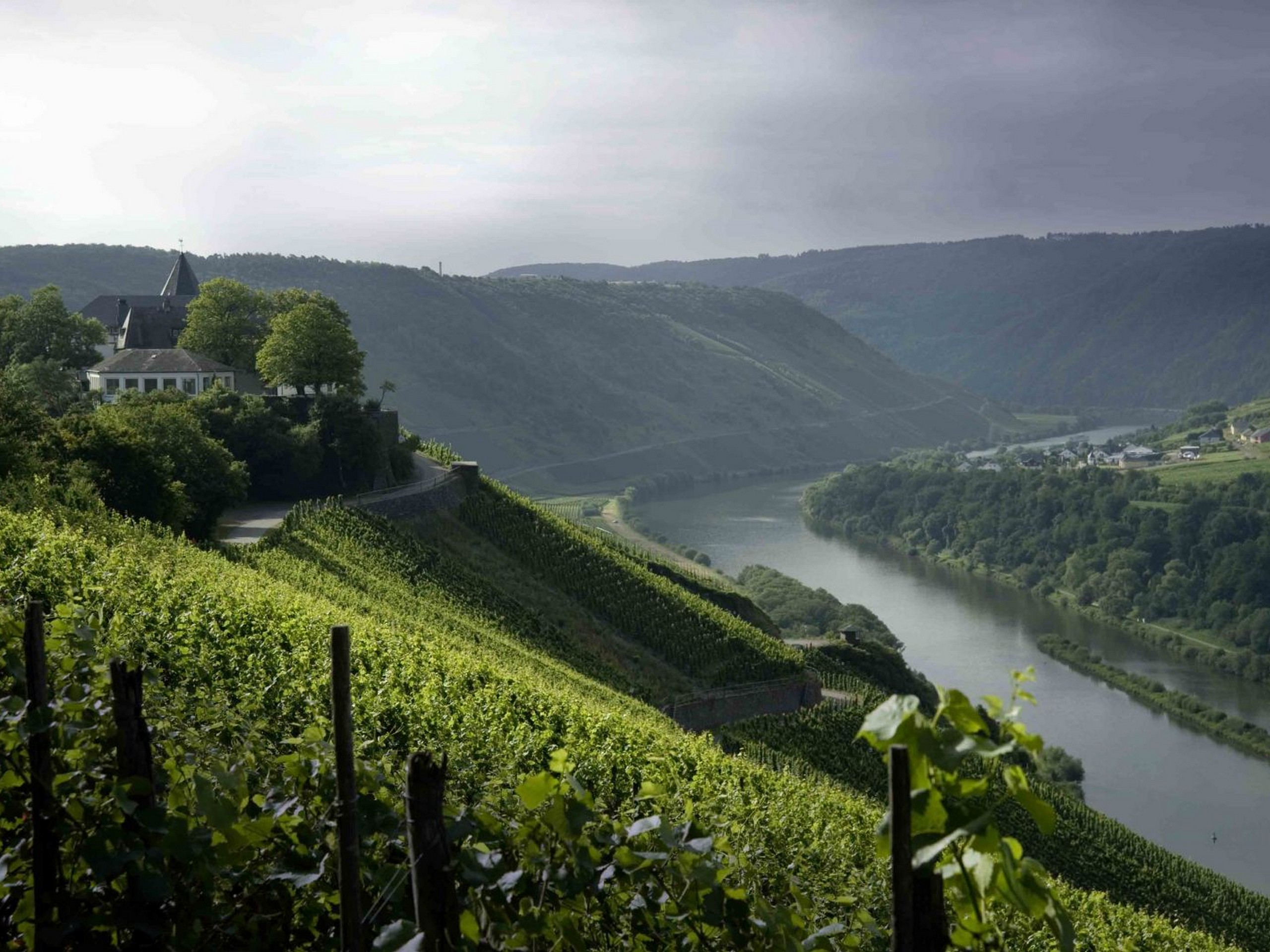 Rhine, Main, Moselle rivers selfguided-biketour Germany Frankfurt to Trier-35