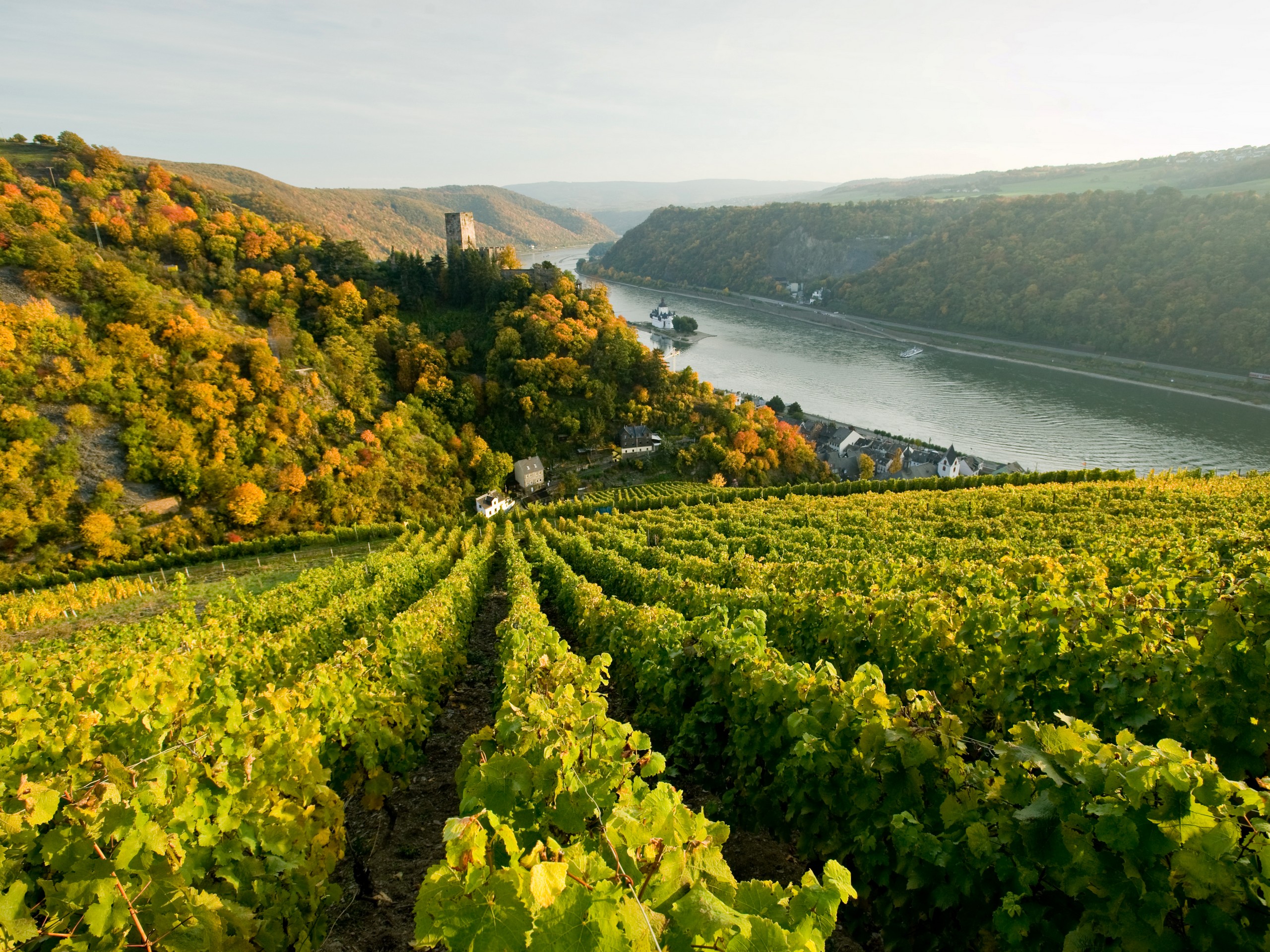 Rhine, Main, Moselle rivers selfguided-biketour Germany Frankfurt to Trier-46