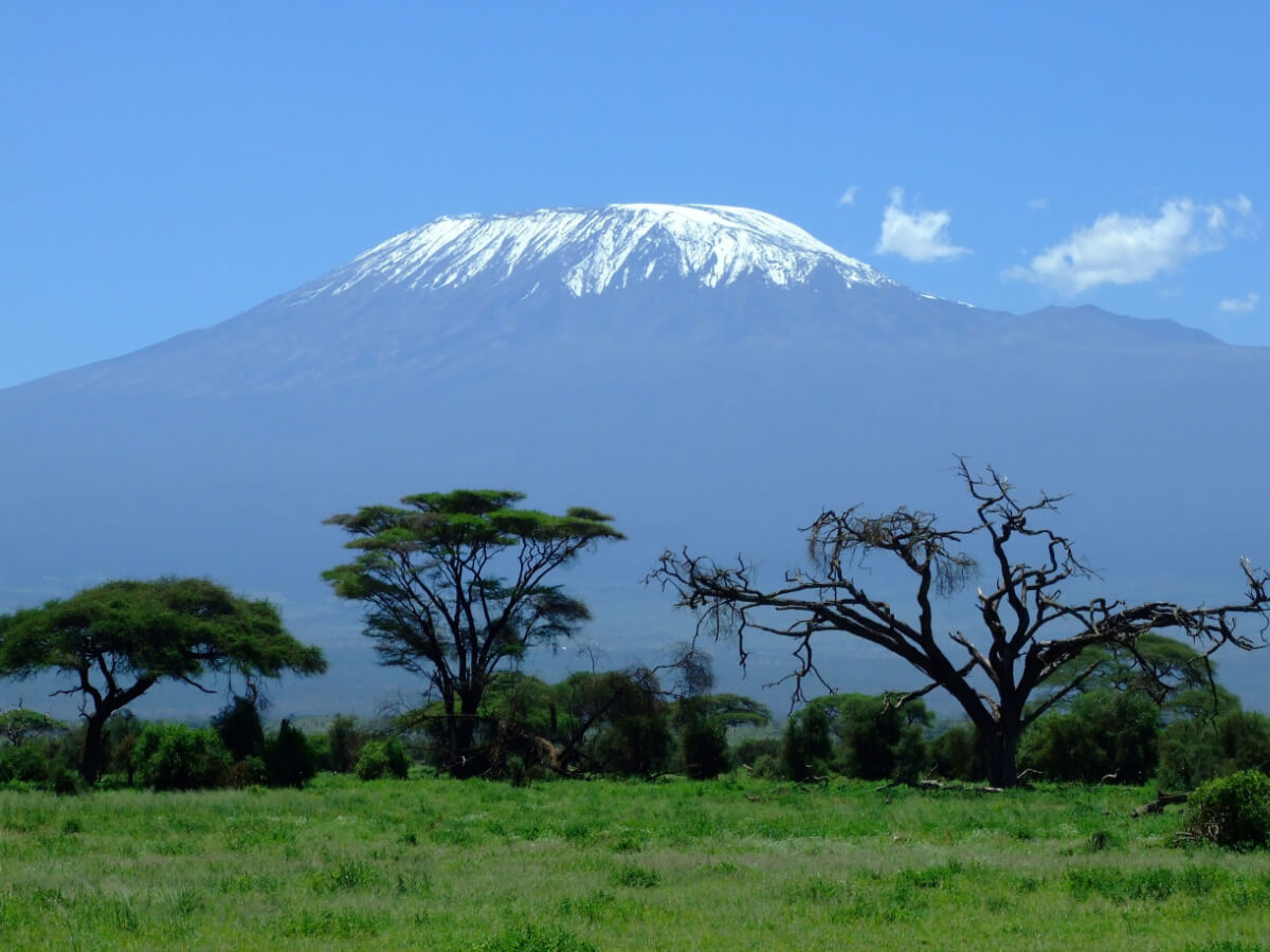 8-day Mount Kilimanjaro Northern Circuit Route