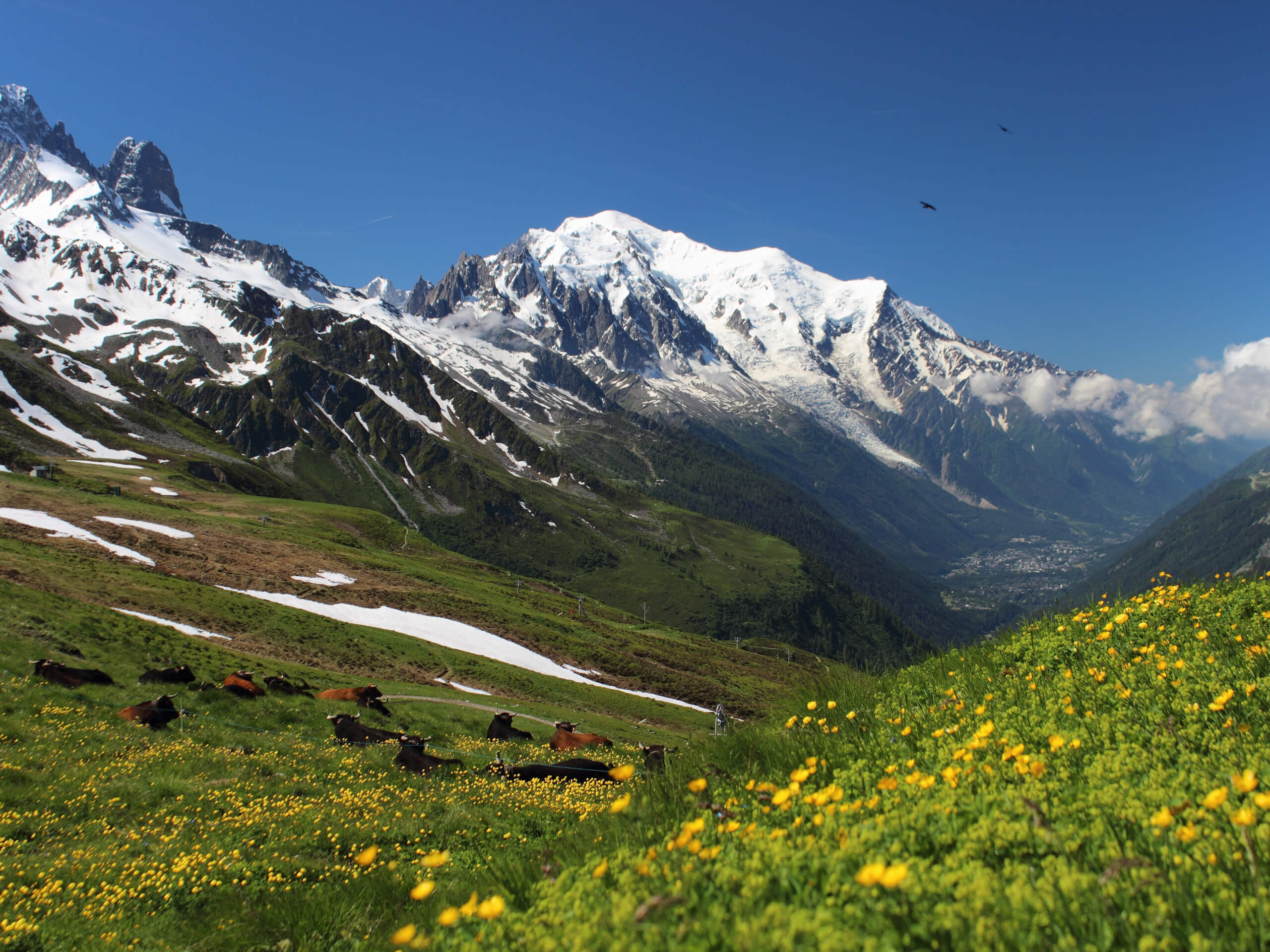 Highlights of Mont Blanc Hiking Tour - 06