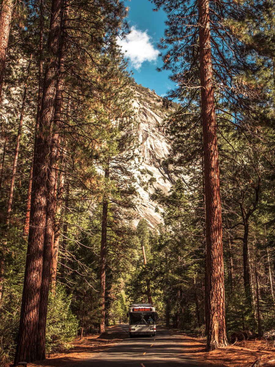 Hiking in Yosemite Valley Tour