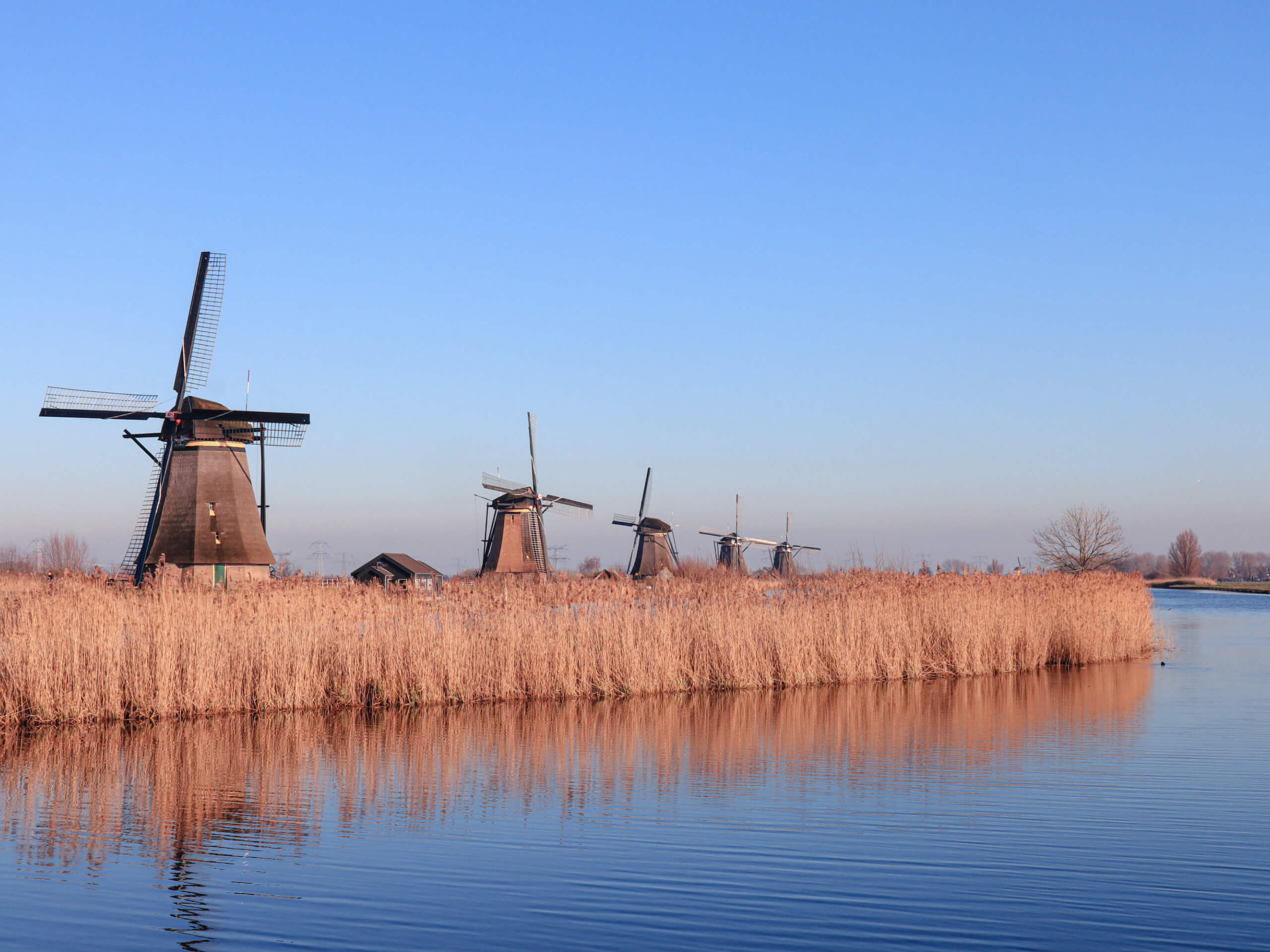 Holland’s Rhine Route Cycling Tour-0