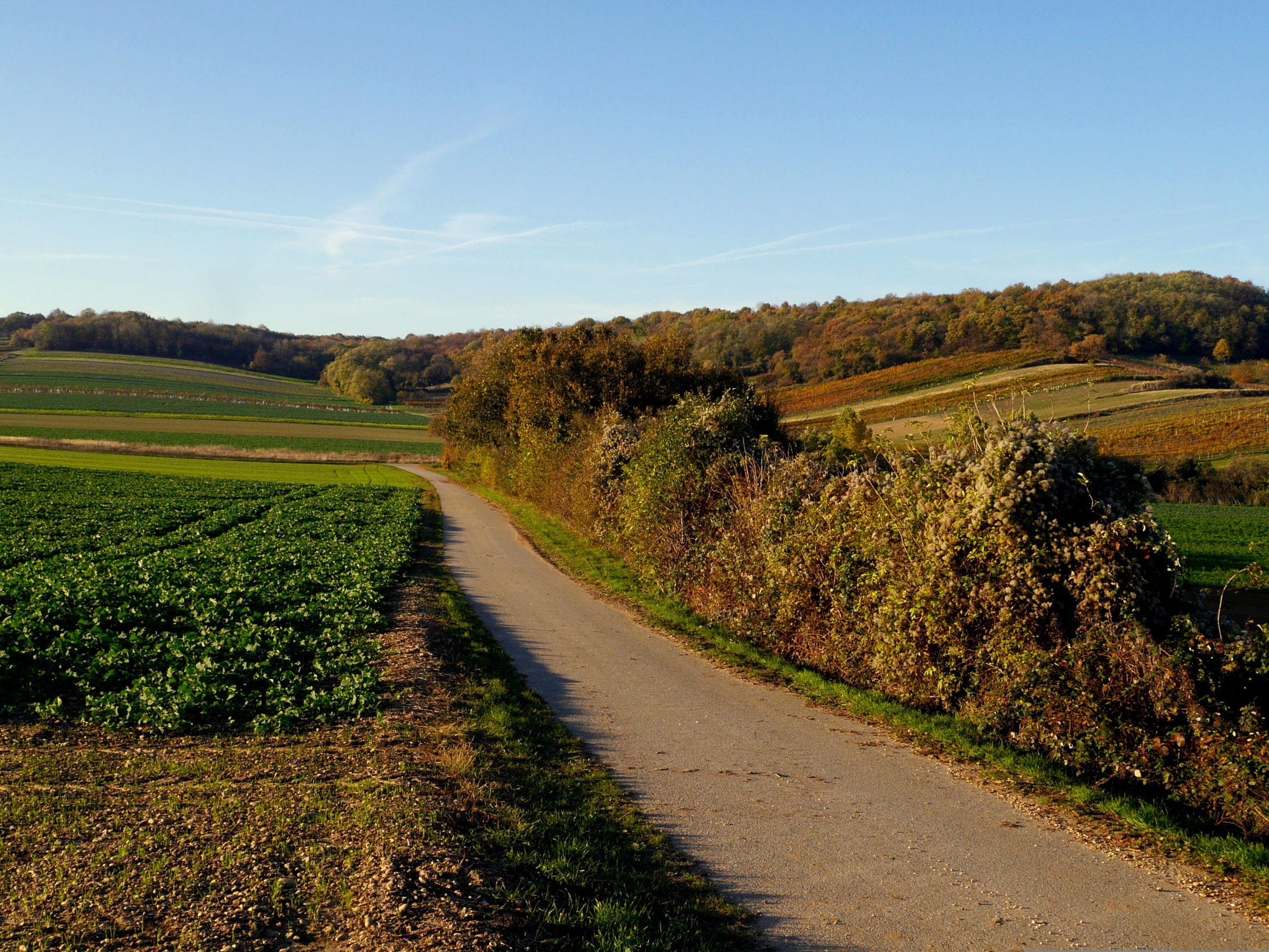 Lake Neusiedl Bike Tour-0