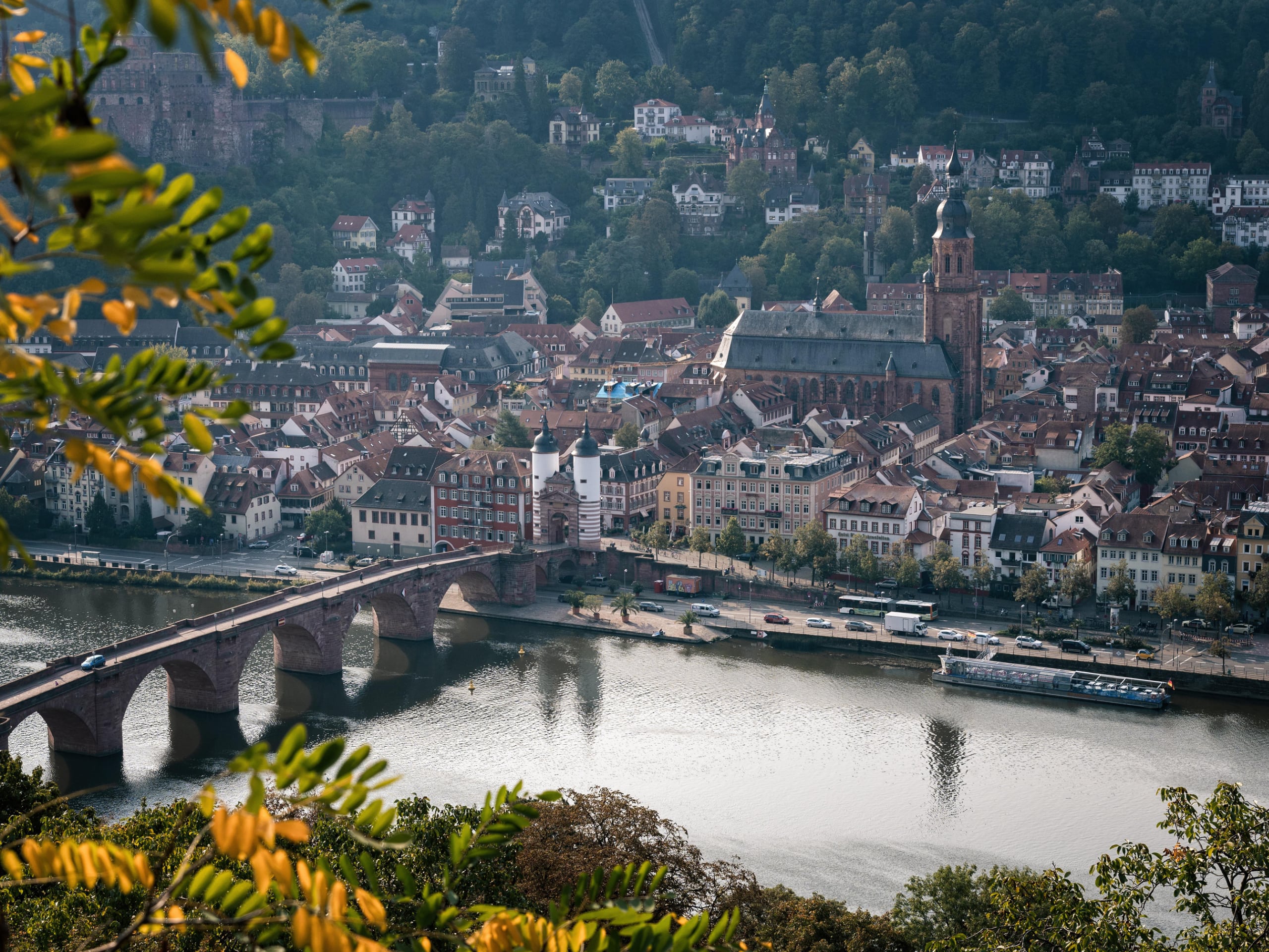 Luxury Wine Tour On The Rhine