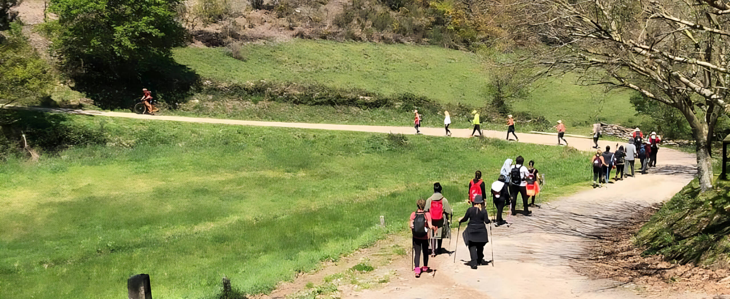 Camino Frances from Sarria to Finisterre