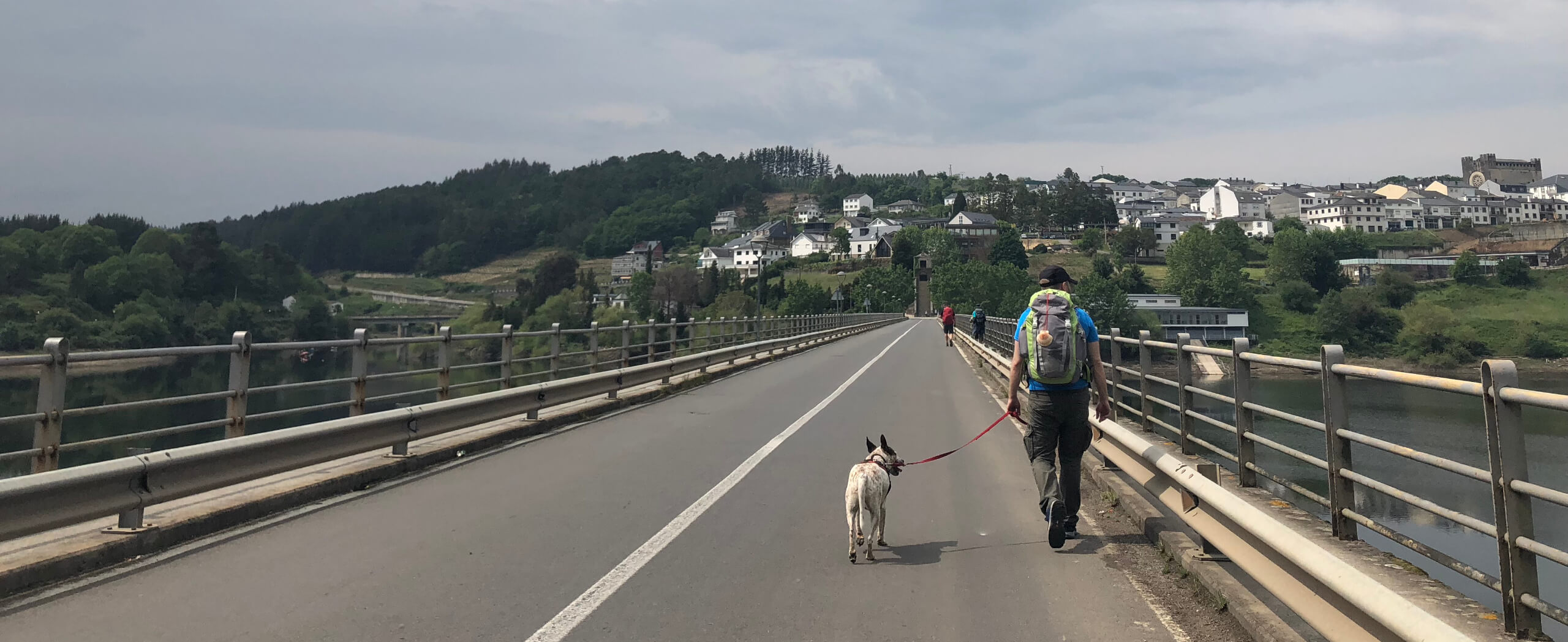 Camino Frances with Dog