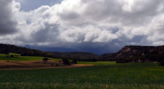 Camino Francés Stage 2: Logroño to Burgos