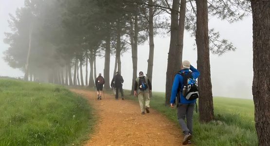 Slower-Paced French Way (Camino Frances) Pilgrimage