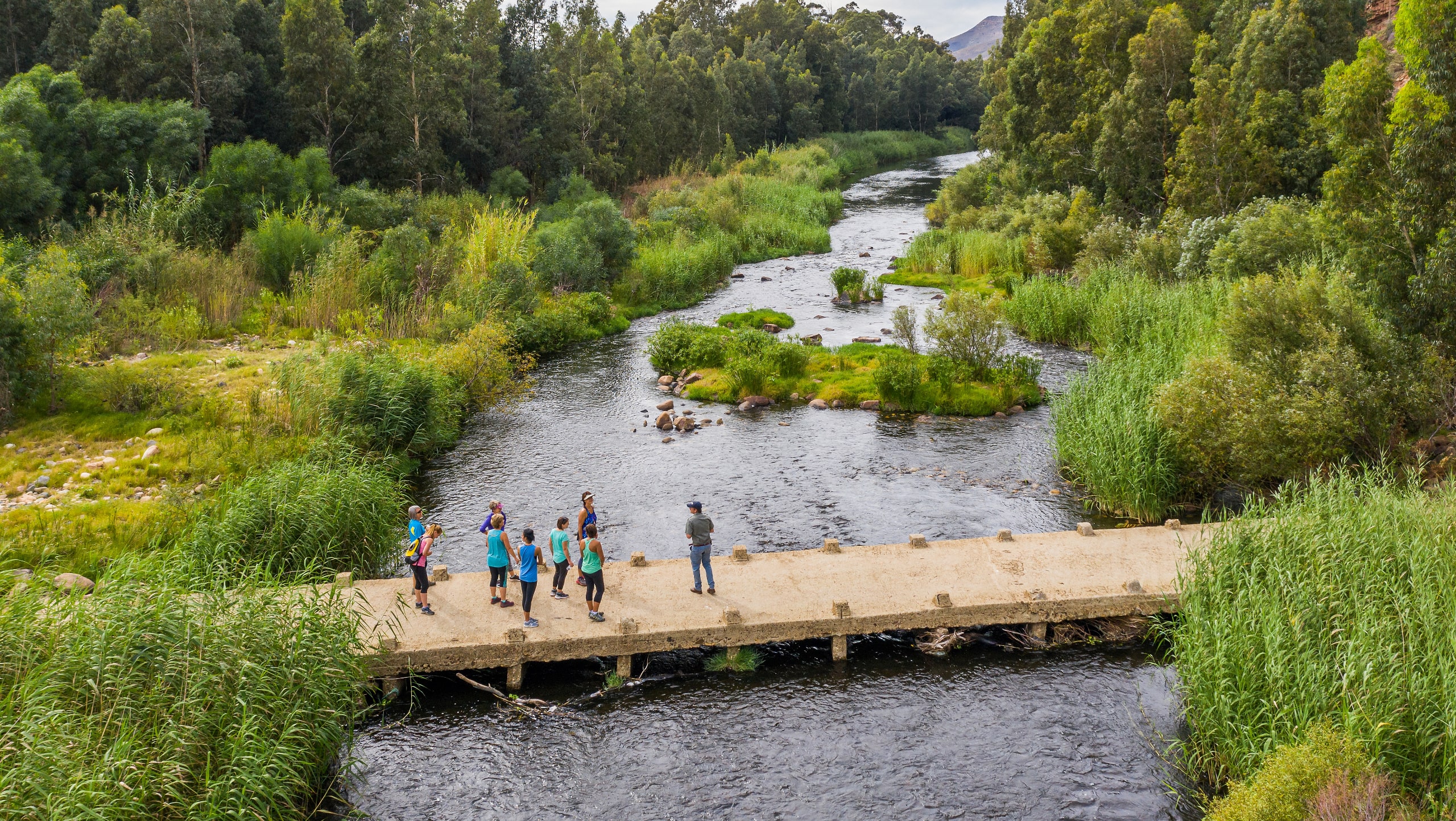 Cape Winelands Walking Tour