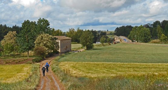 Easy English Way Camino Tour