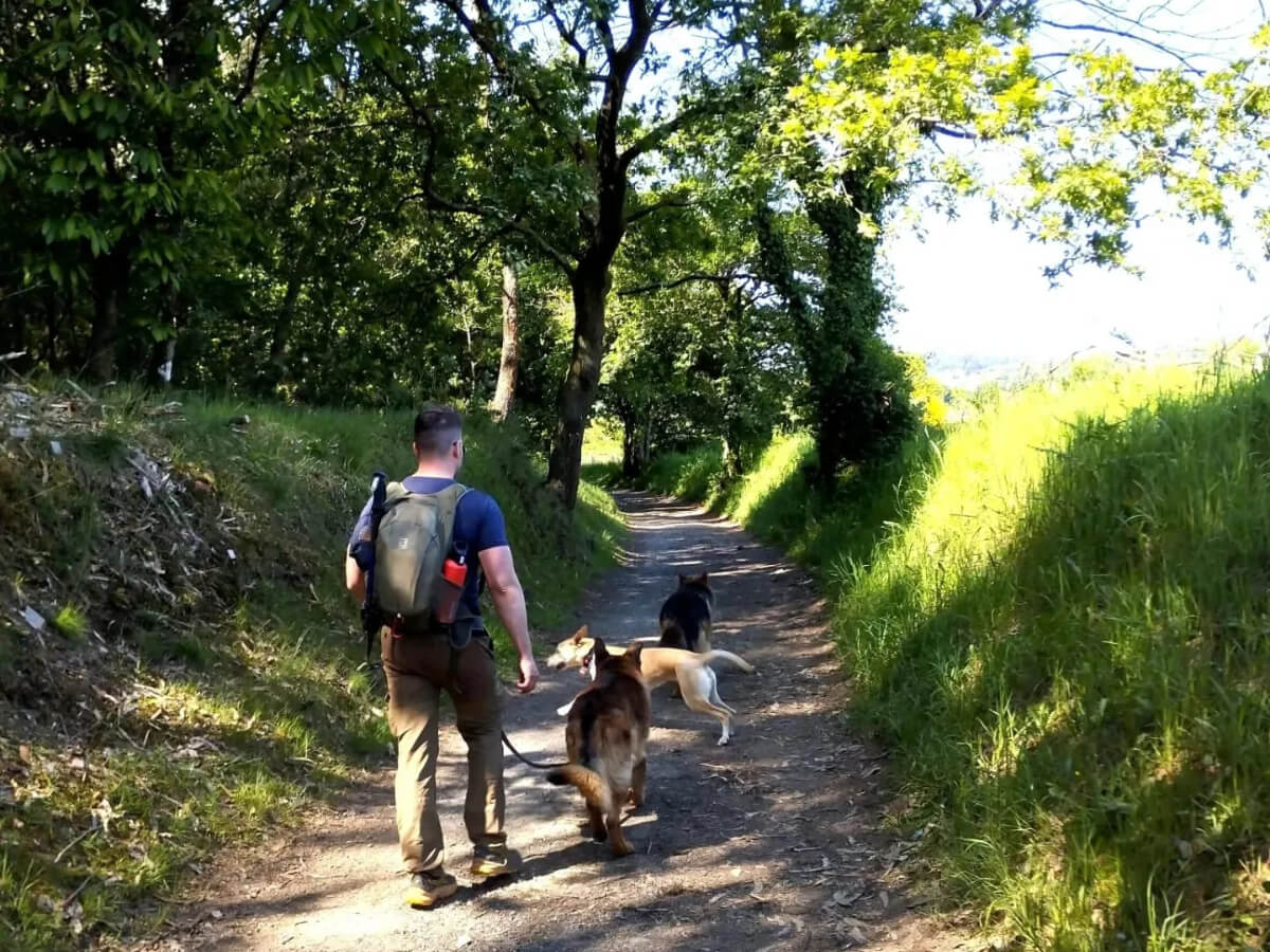 Camino Francés from Sarria to Santiago with your Dog-3