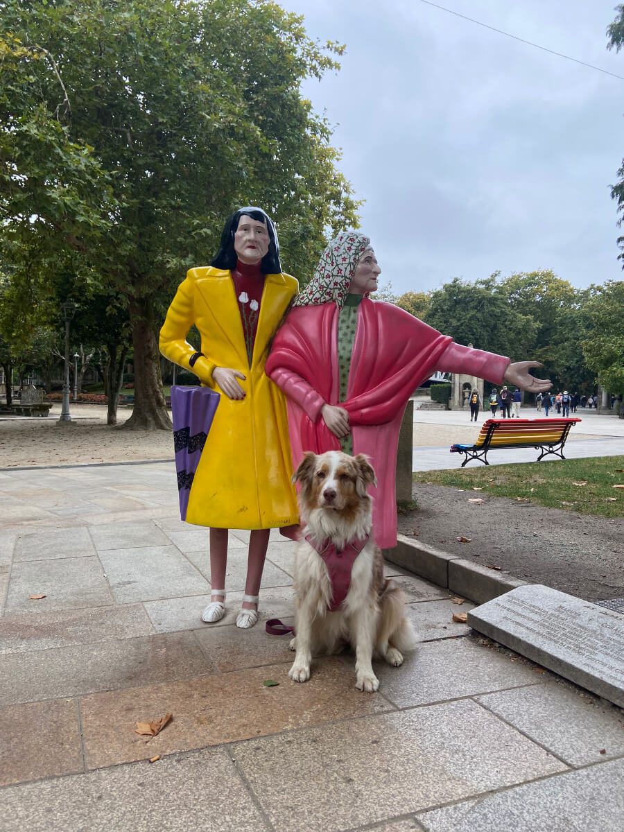 Camino Francés from Sarria to Santiago with your Dog-7