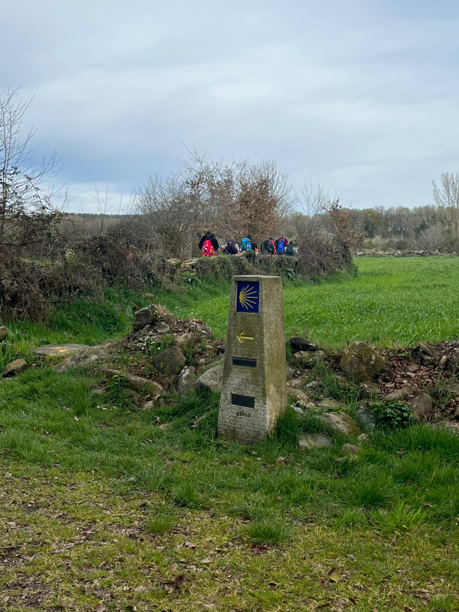 Camino francés from Sarria to Santiago de Compostela-11