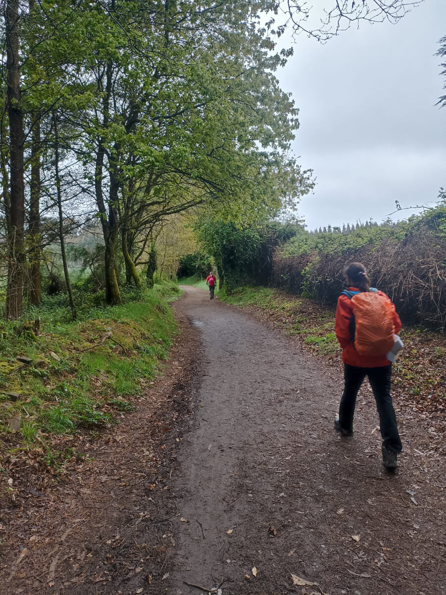 Camino francés from Sarria to Santiago de Compostela-12