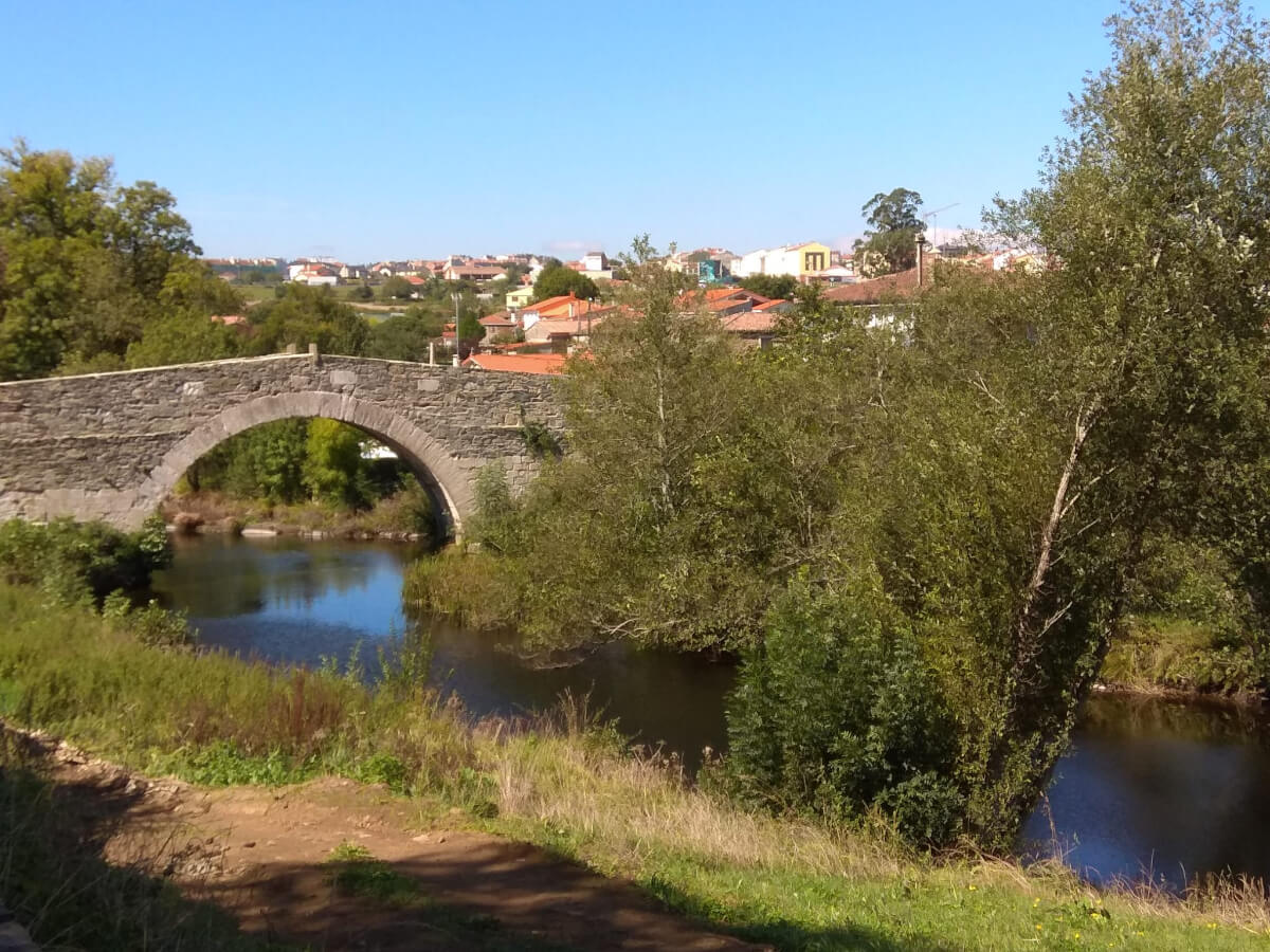 Camino francés from Sarria to Santiago de Compostela-13