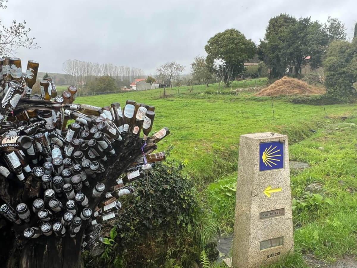 Camino francés from Sarria to Santiago de Compostela-19