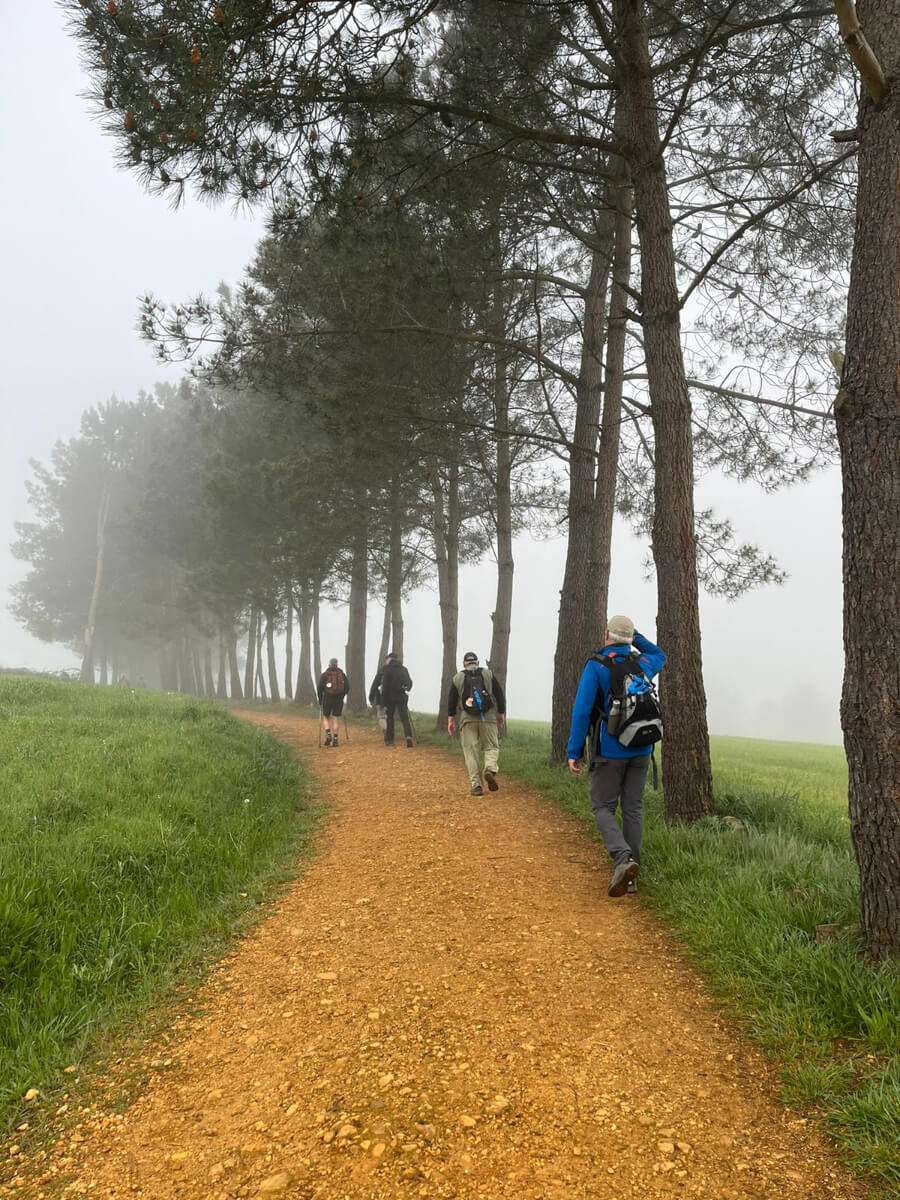 Camino francés from Sarria to Santiago de Compostela-3