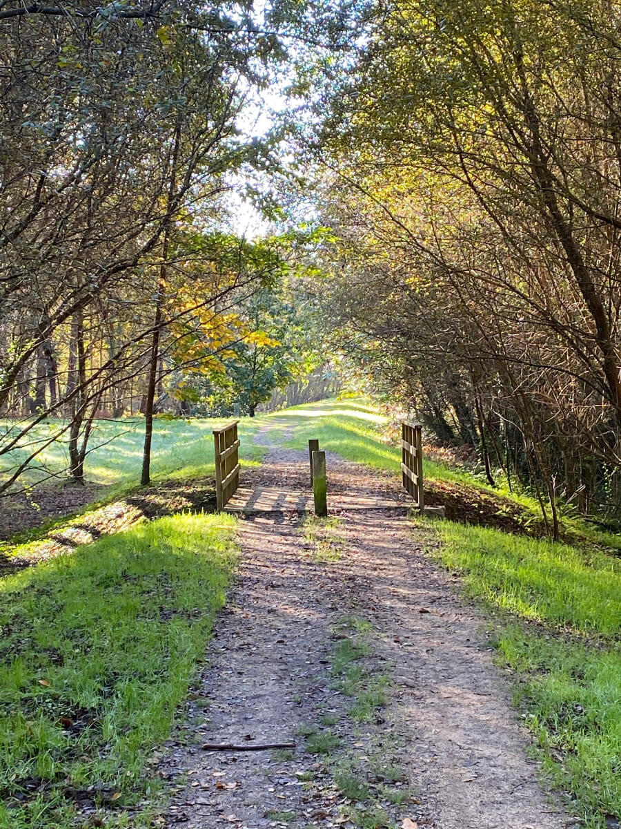 English Way Camino Pontedeume Option-2