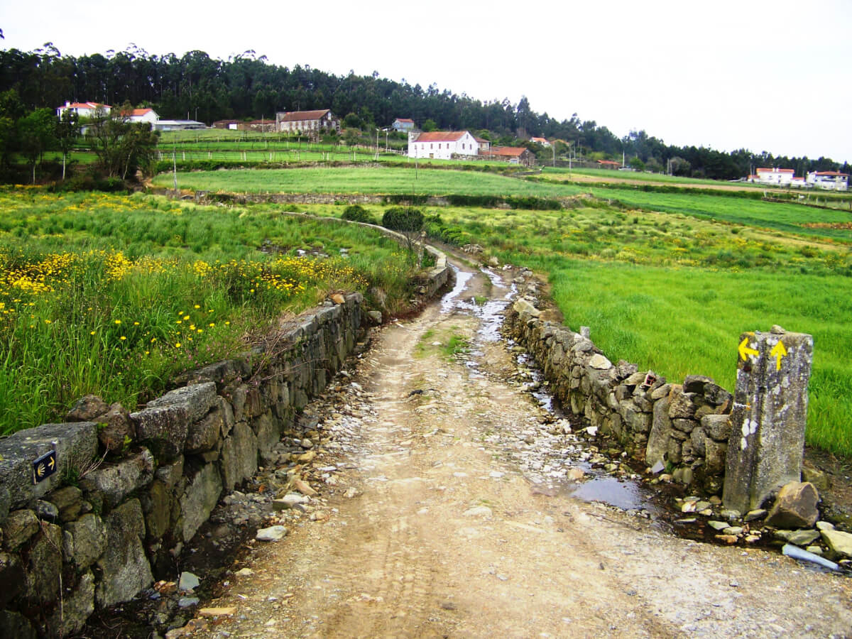 Portuguese Camino-1