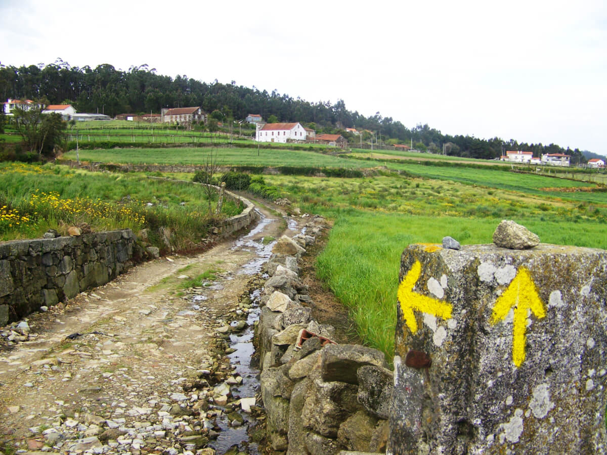 Portuguese Camino-2