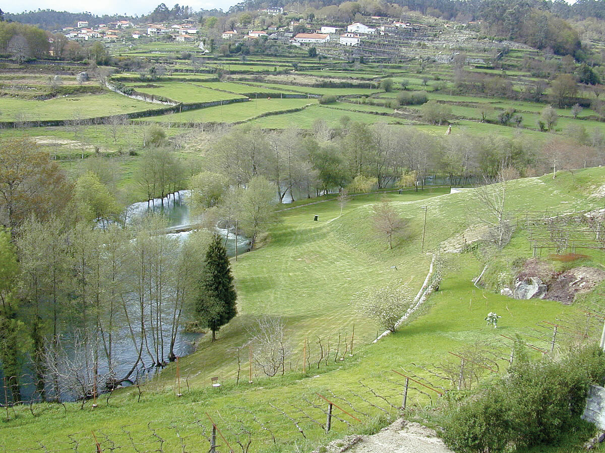 Portuguese Camino-5