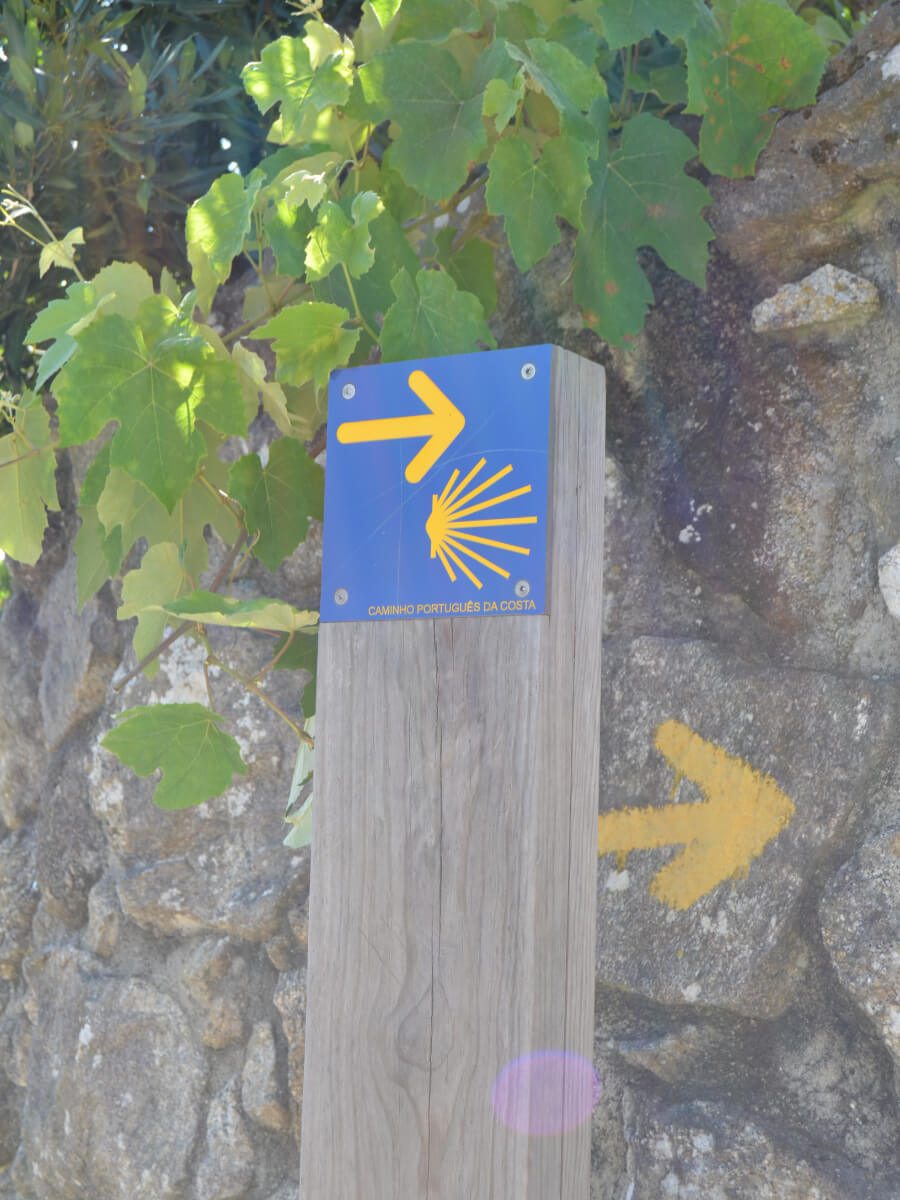 Portuguese Camino-7