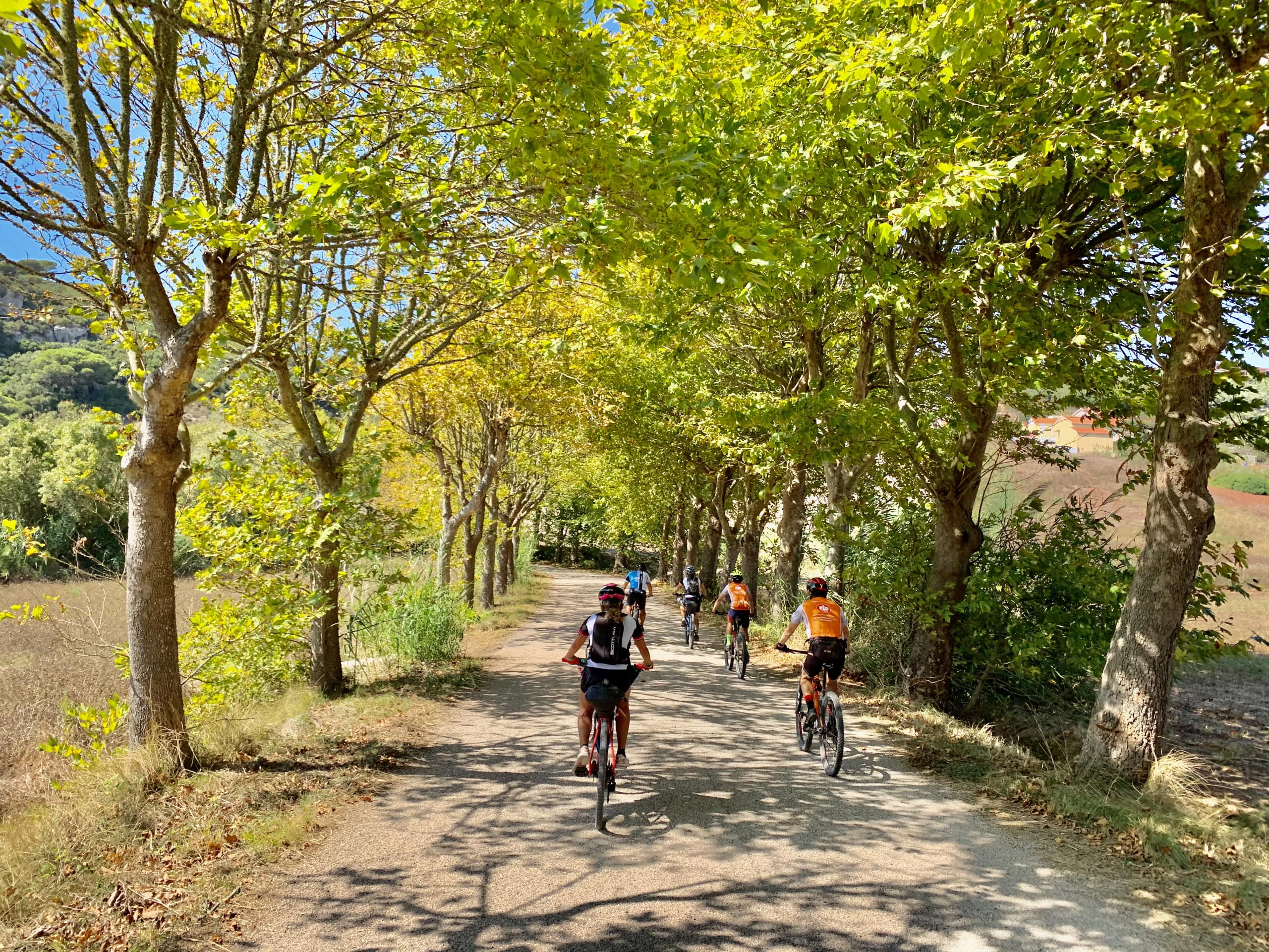 Road Bike Portuguese Coast to Sintra 11