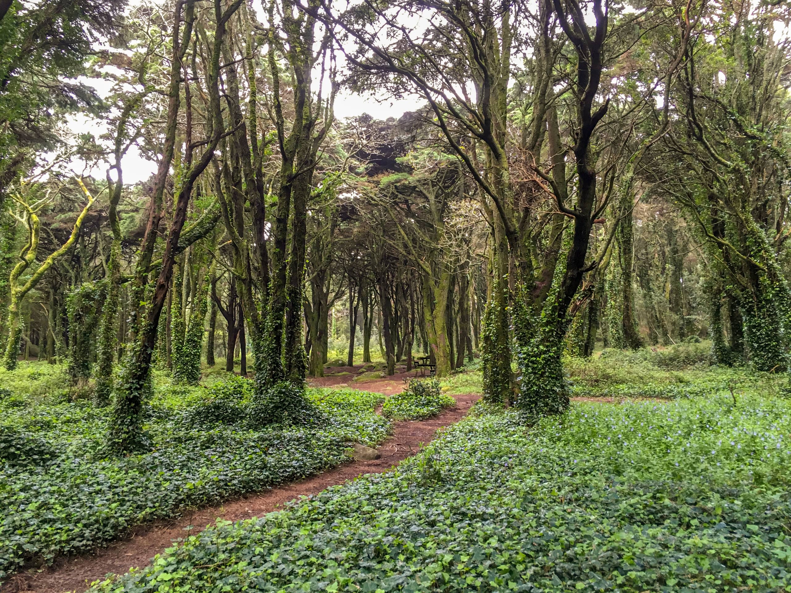 Sintra Heritage and Coastal Trails-23