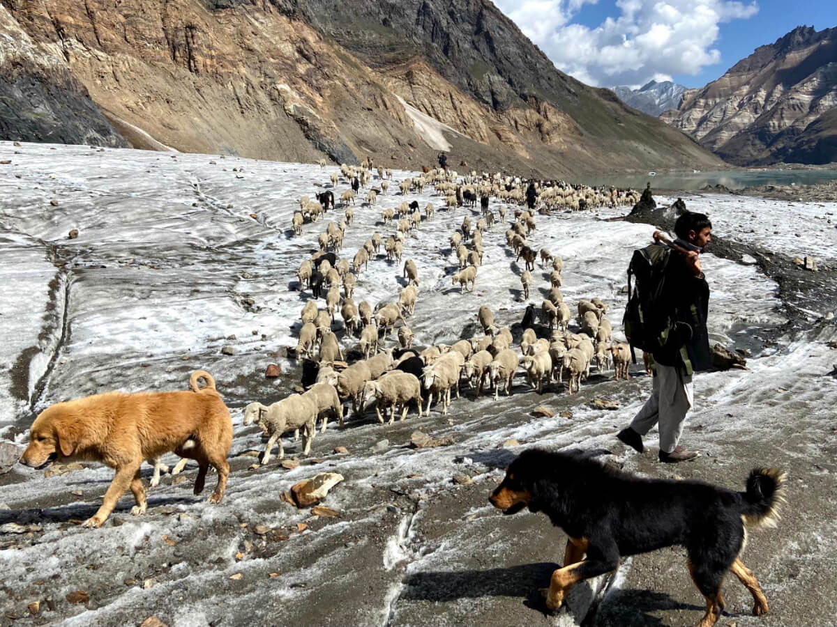 The Great Ladakh to Kashmir Traverse Trek-15