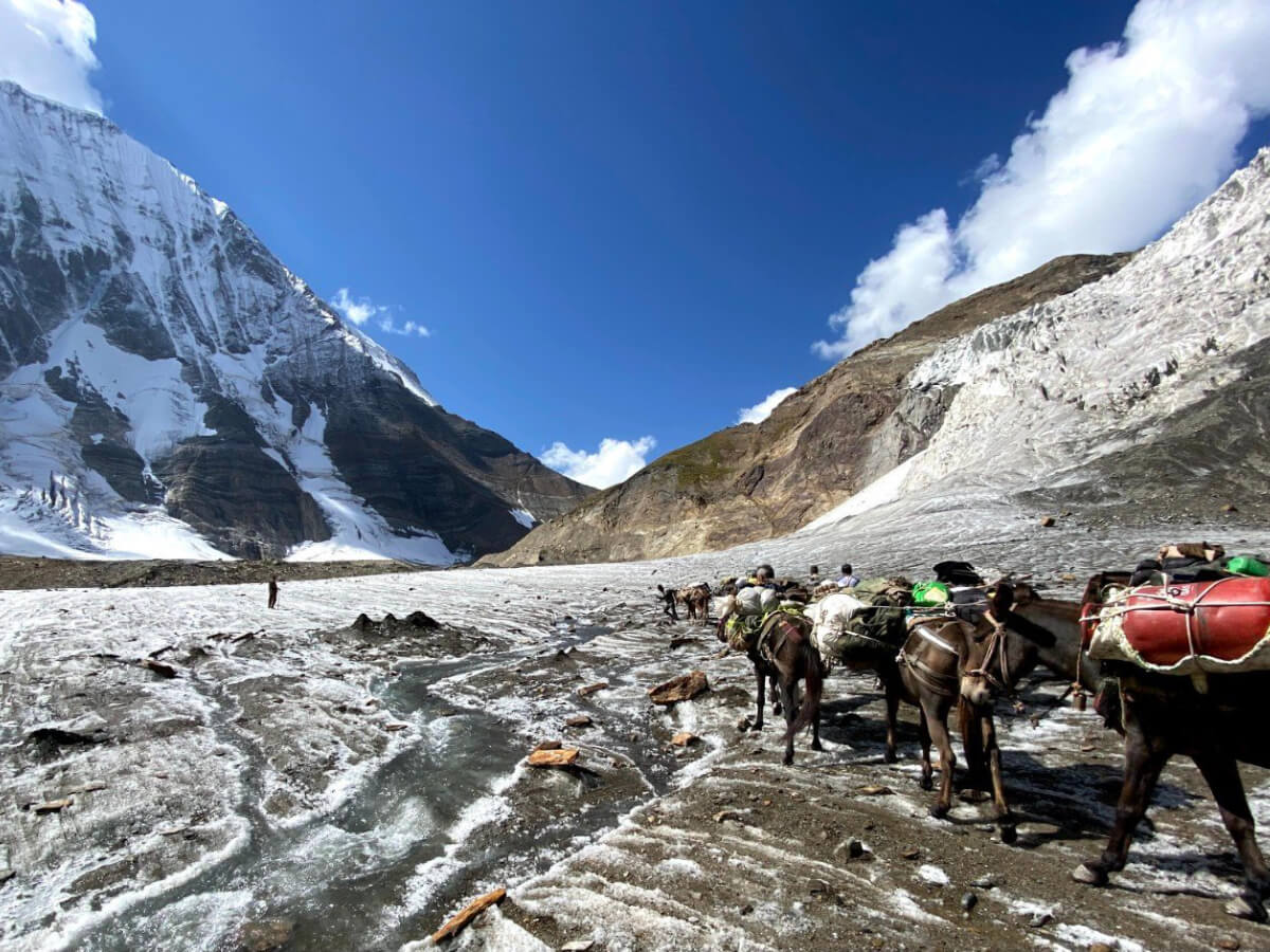 The Great Ladakh to Kashmir Traverse Trek-6