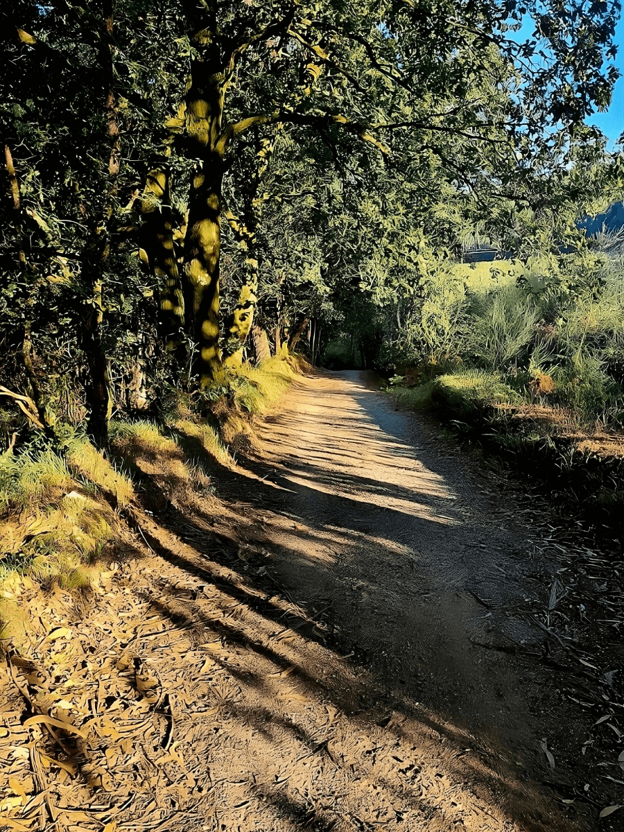 Via de la Plata Last 100km-8