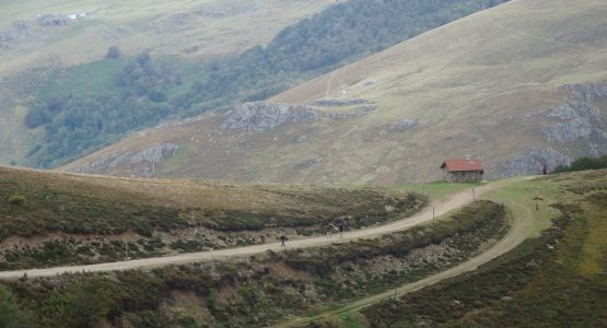 Camino Frances Cycling from Roncesvalles to León