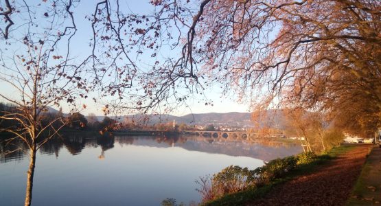 Camino Portugues from Porto to Tui