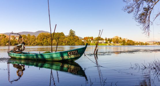 Easy Camino Portugues from Tui to Santiago