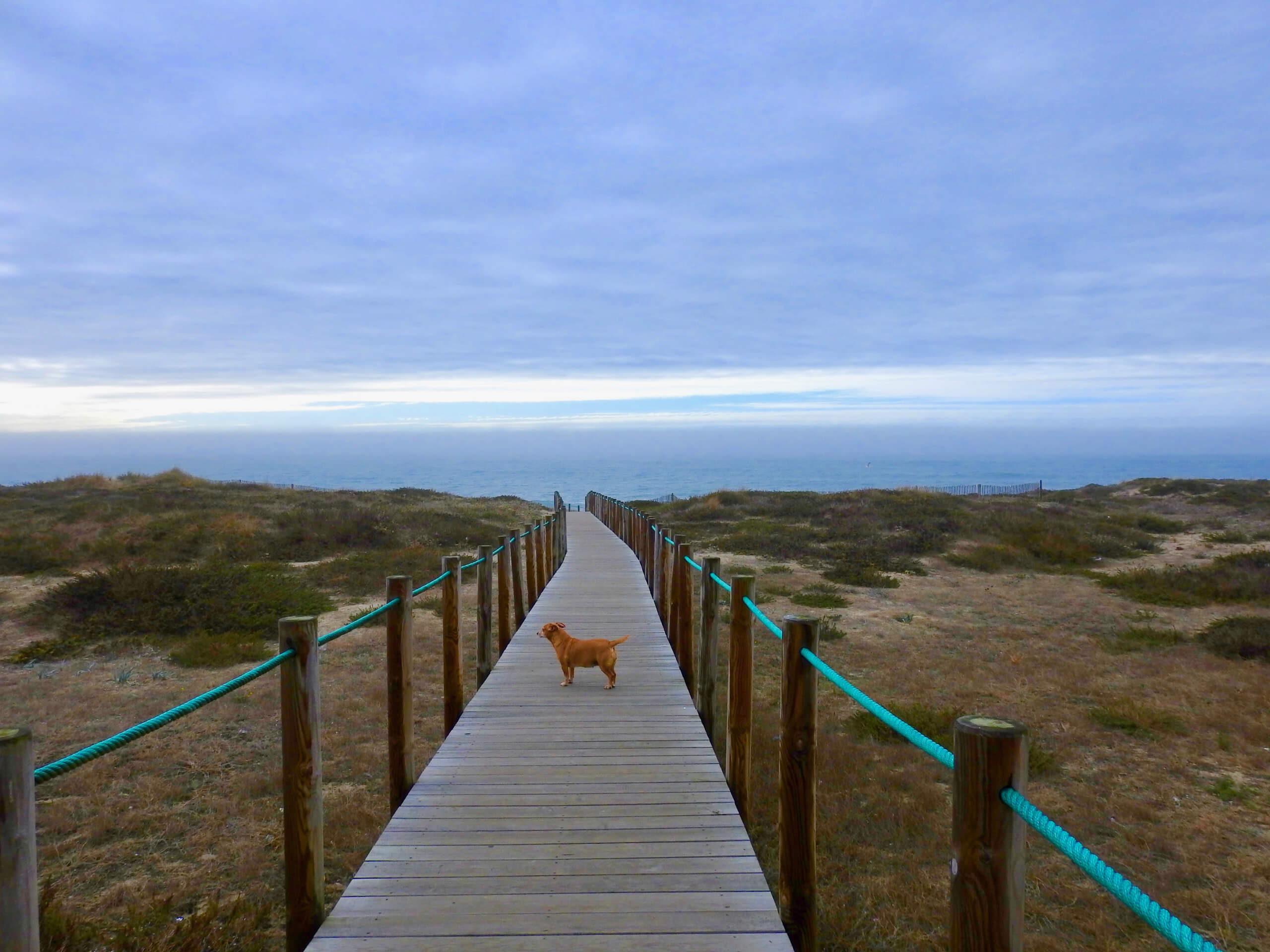 Portuguese Coastal Camino from Porto to A Guarda-4