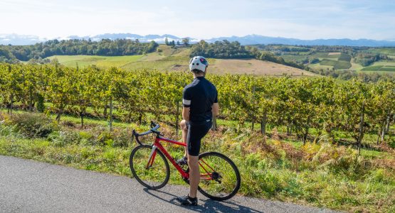 Béarn and French Basque Country E-bike Tour