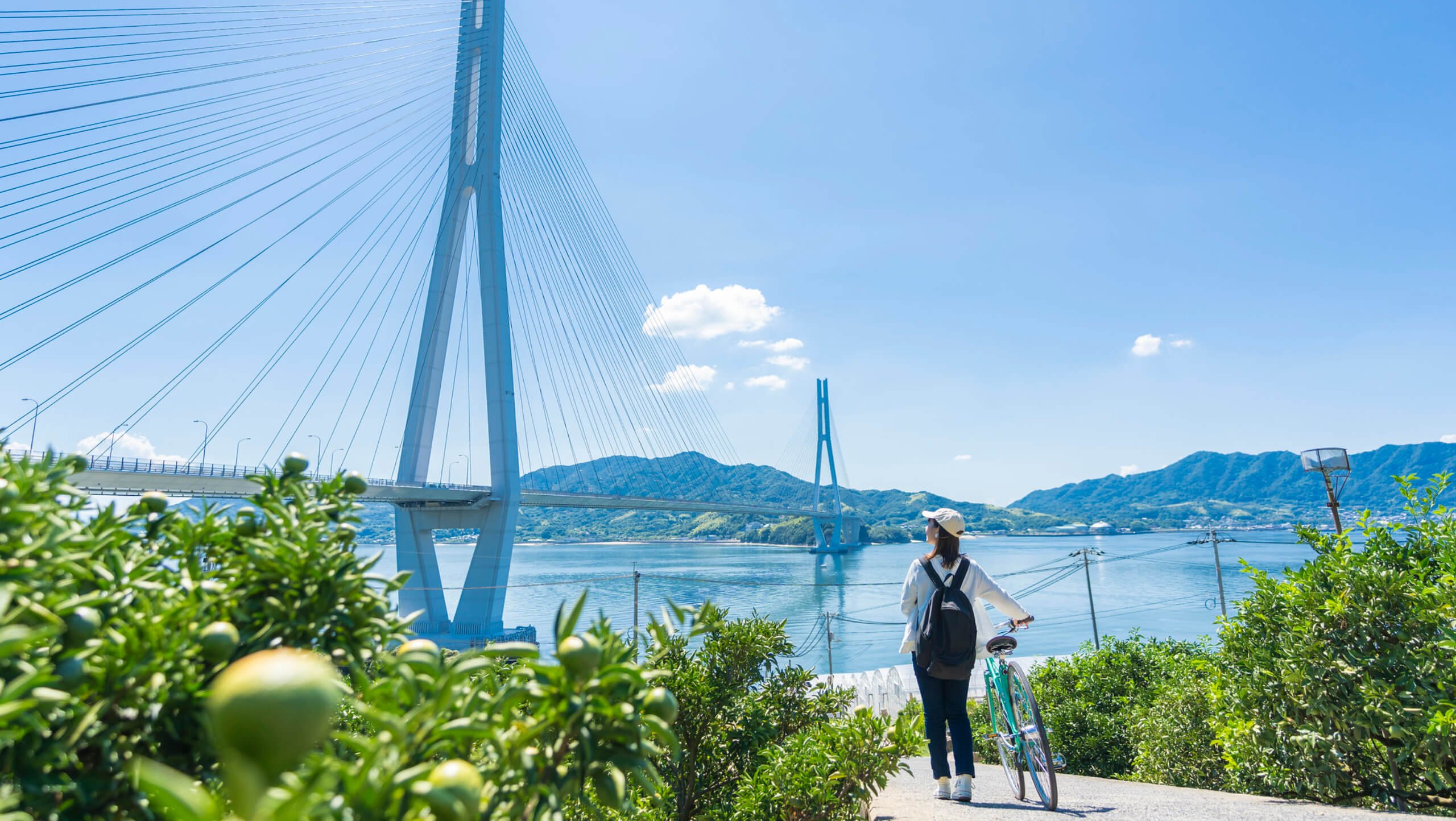 Shikoku Island Discovery Cycling Tour