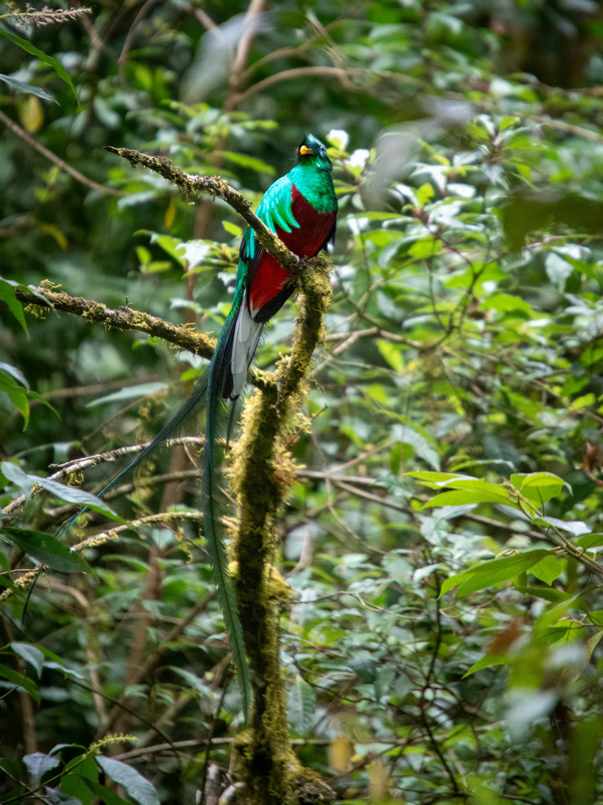 Costa Rica Off the Beaten Track-2