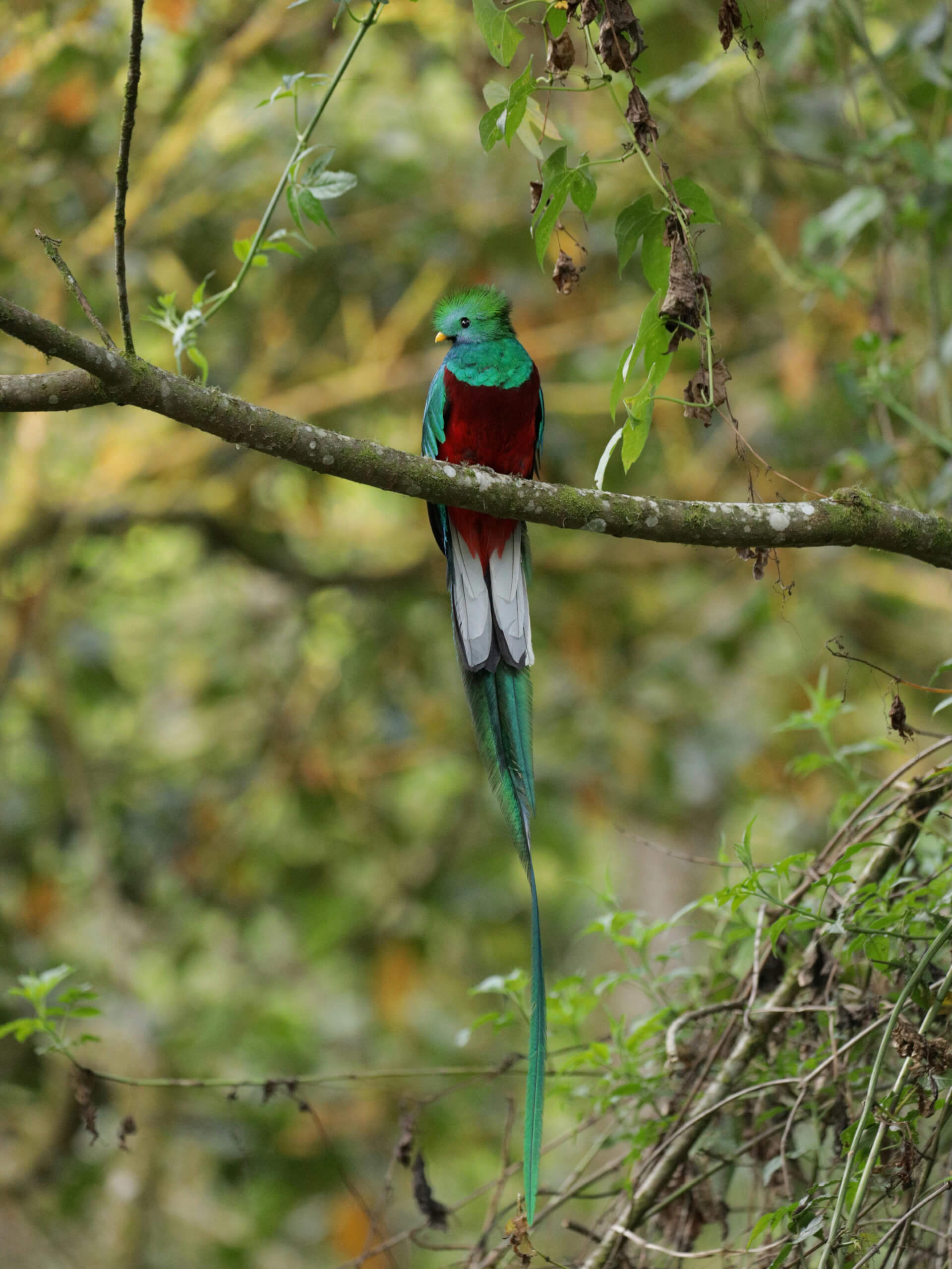 Costa Rica Off the Beaten Track-8