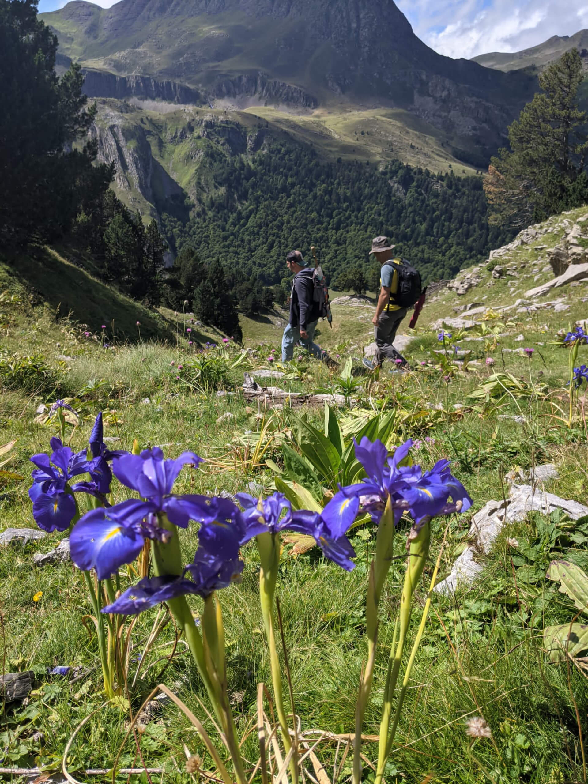 Hiking & Spa in the Pyrenees-2