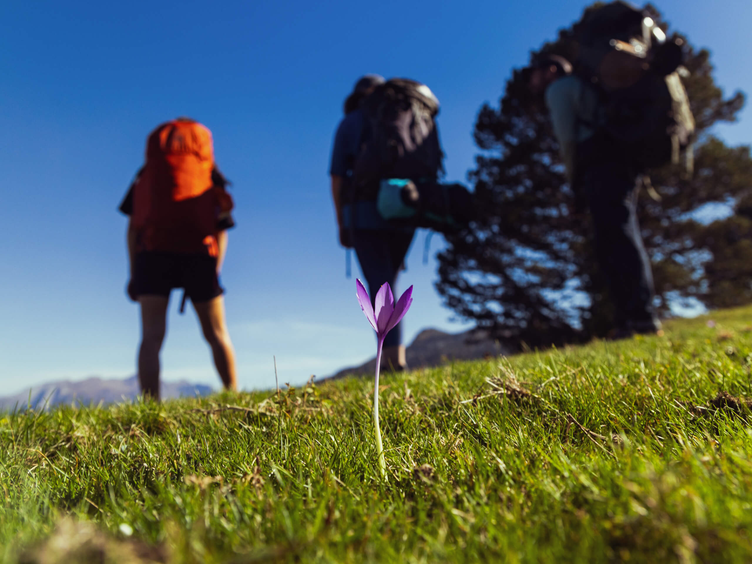 Hiking & Spa in the Pyrenees-5