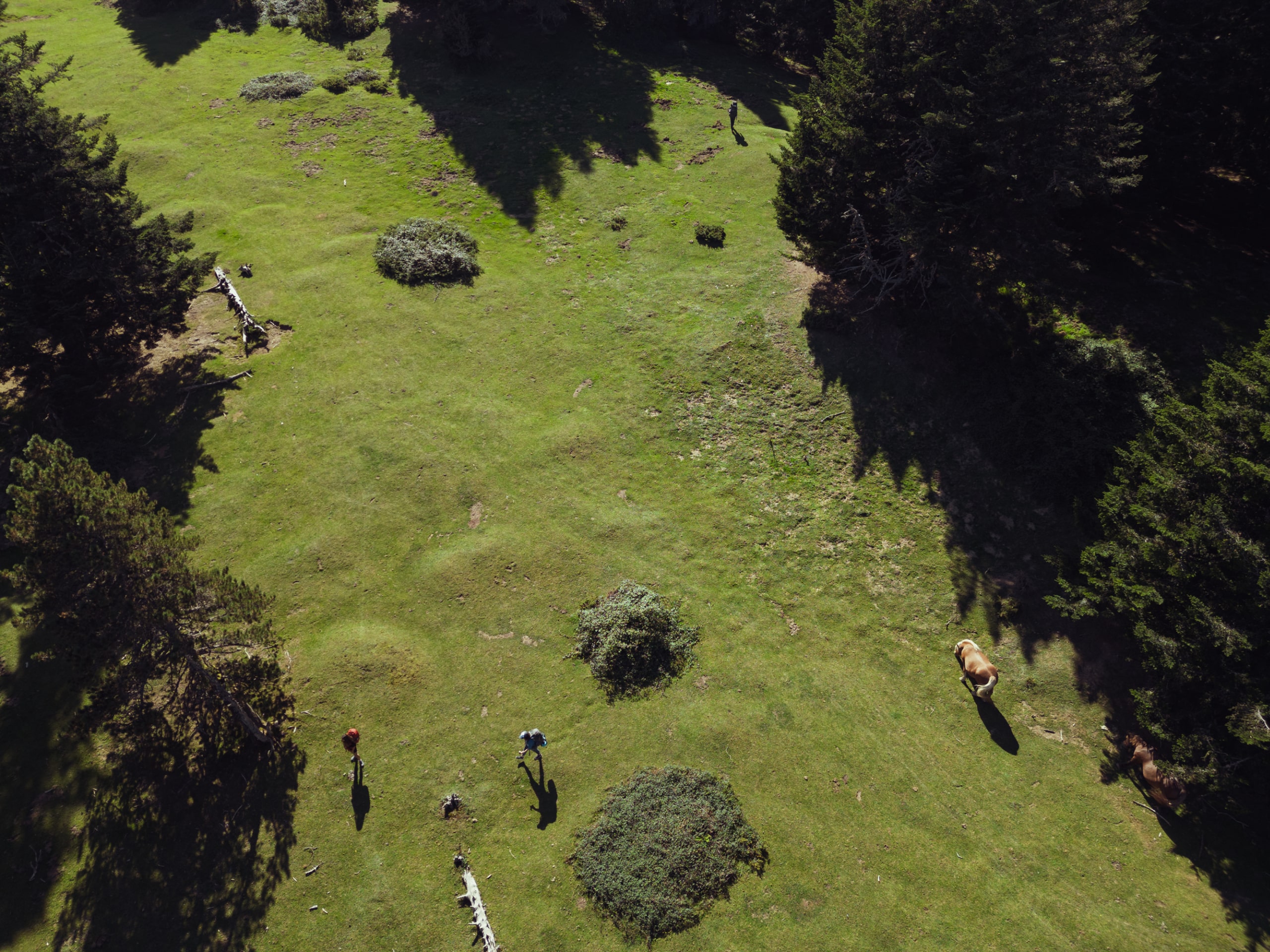 Hiking & Spa in the Pyrenees-6