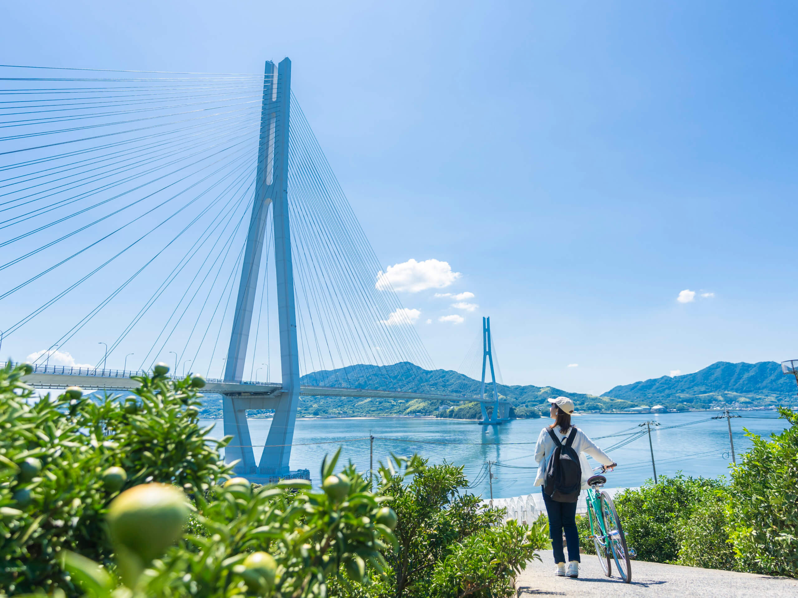 Shikoku Island Discovery Cycling Tour-4