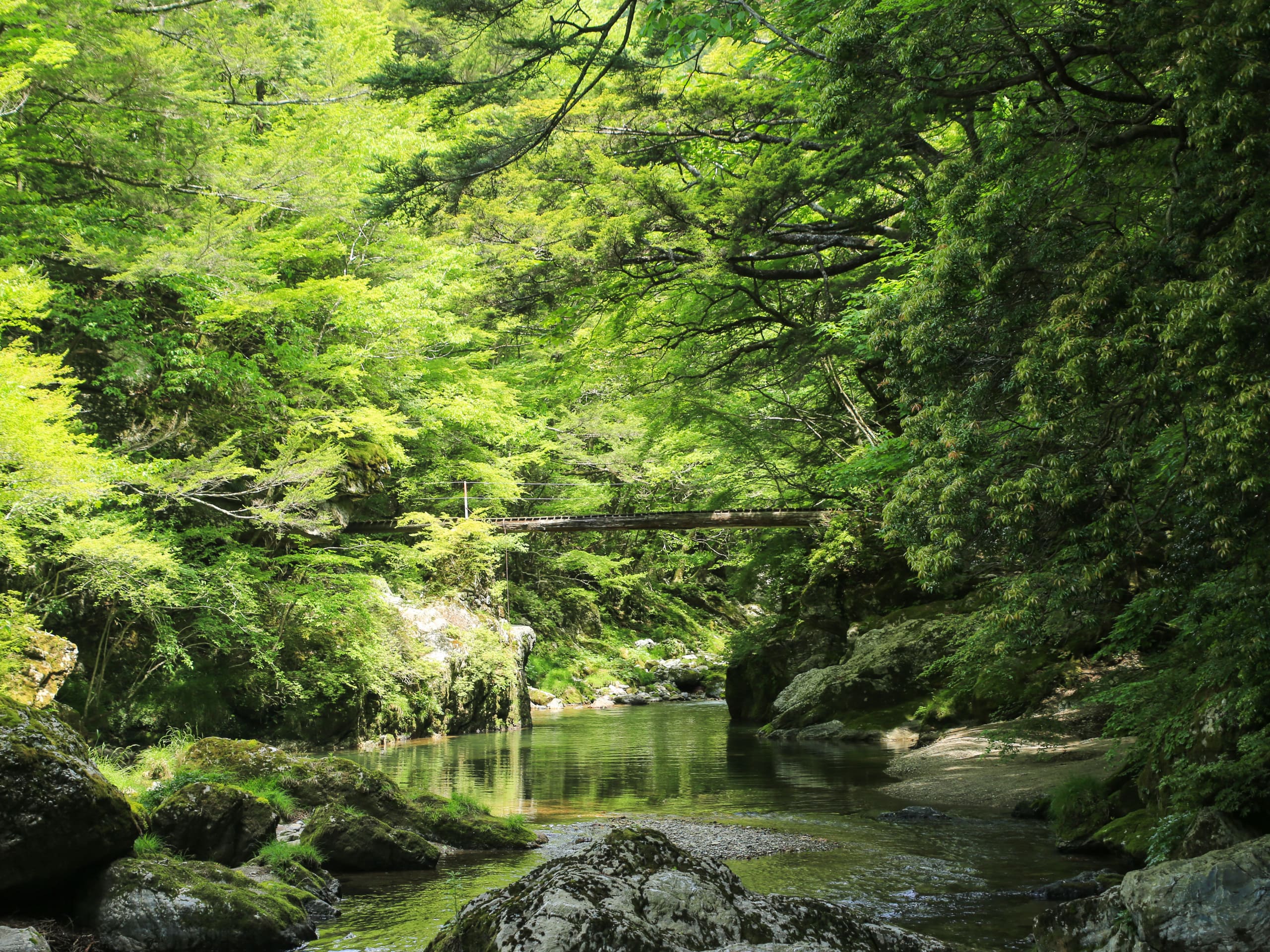 Shikoku Island Nature and Food Highlights Tour-3