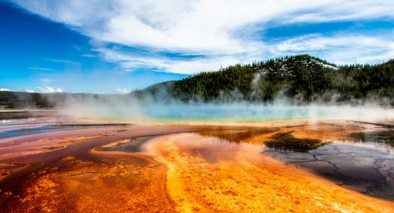 Yellowstone Thorofare Backpacking Tour