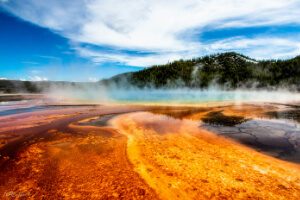 Yellowstone Thorofare Backpacking Tour