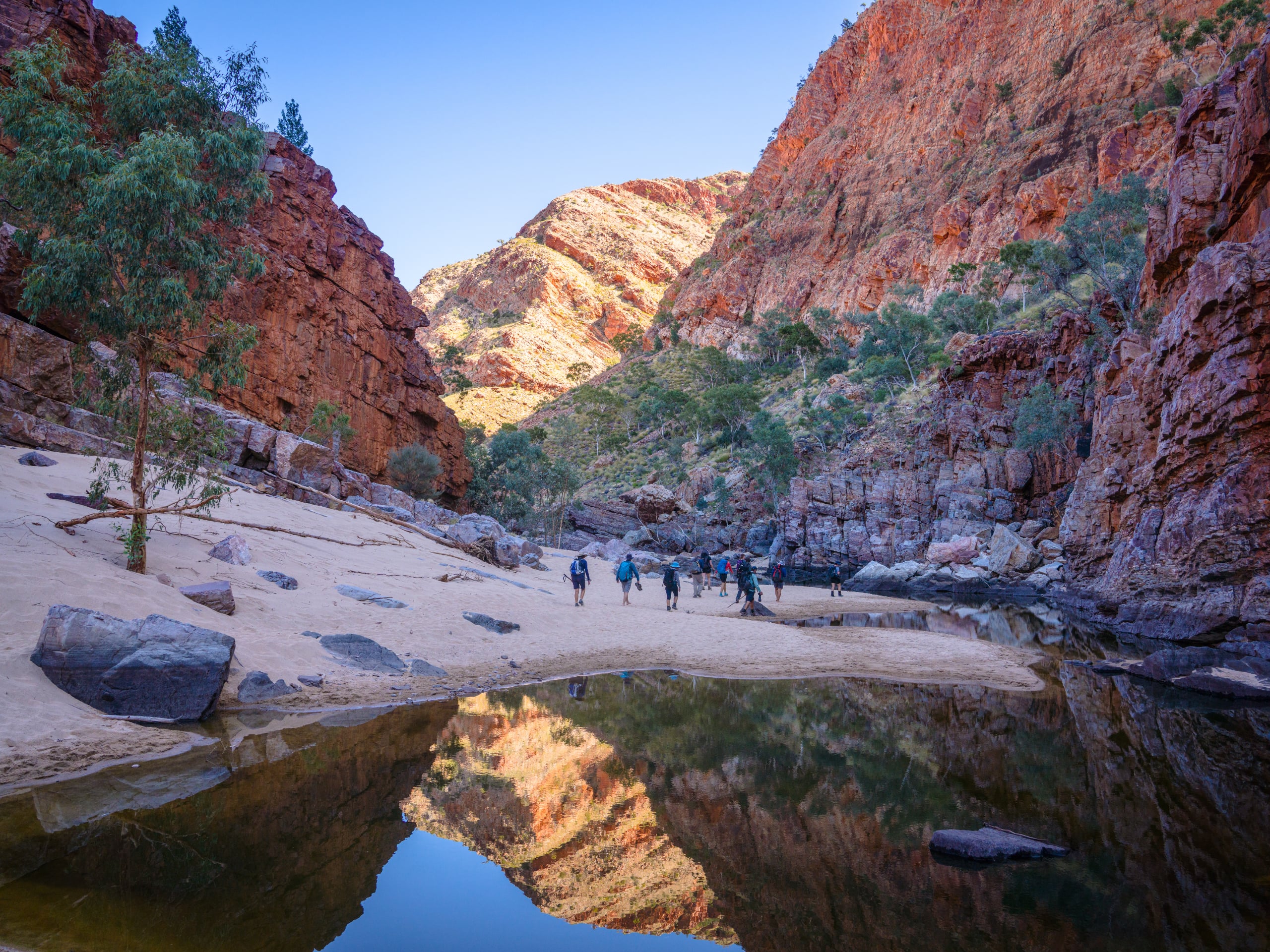 Classic Larapinta Trail Trek-2